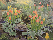 Tulips Bleecker St